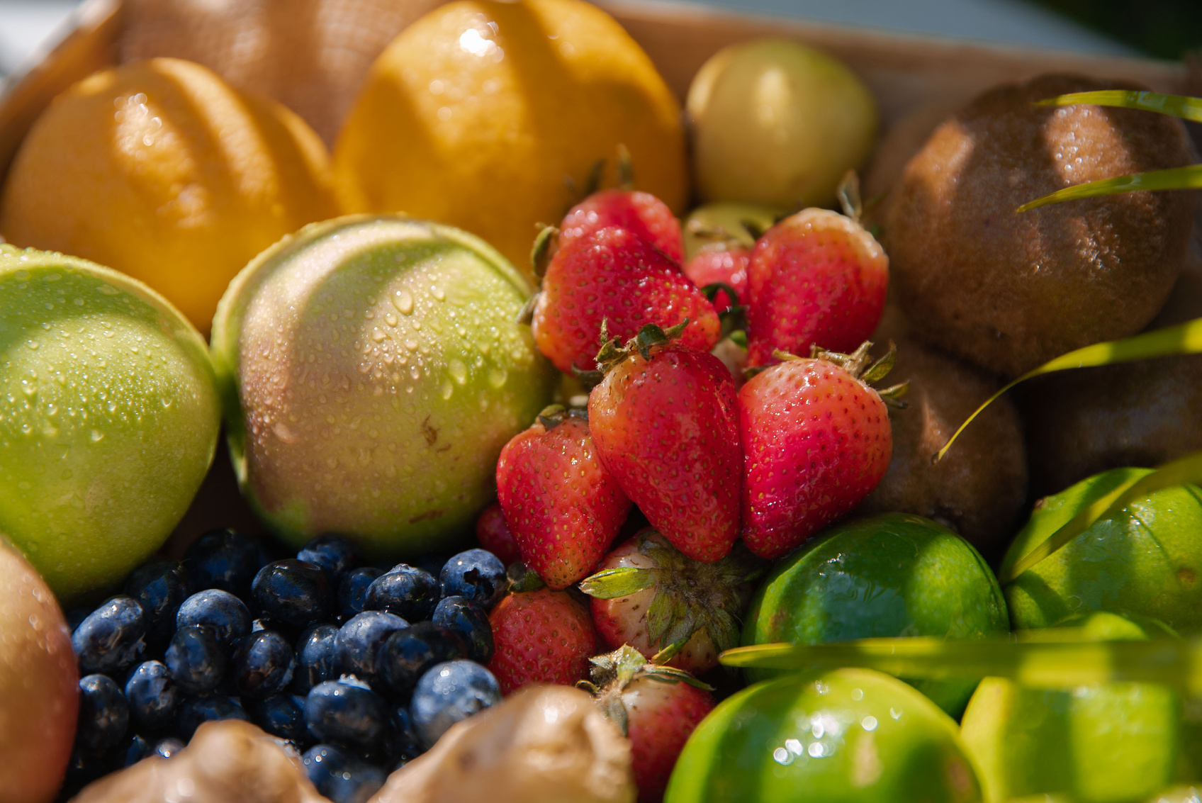 Assorted Fresh Fruits